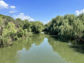 湿地公园