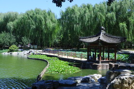 公园风景 