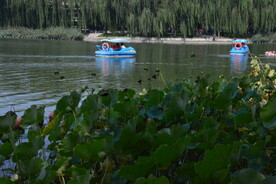 公园风景 