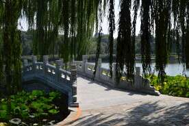 公园风景