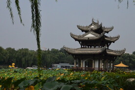 公园风景 