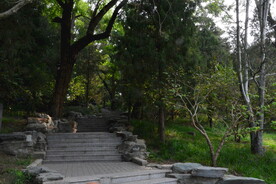 公园风景