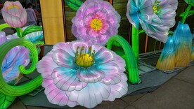 中华世纪坛牡丹花花灯