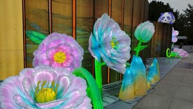 中华世纪坛牡丹花花灯