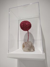 伊夫克莱因超越时空展览