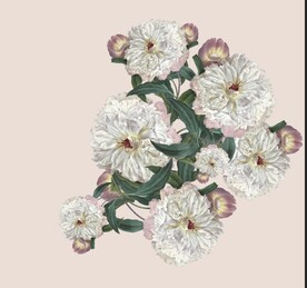 定位花
