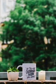 马克杯绿植和蜡烛