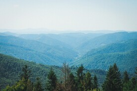 山林