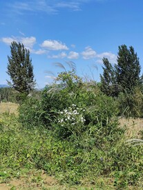 山村风景