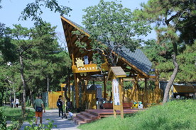 公园风景 