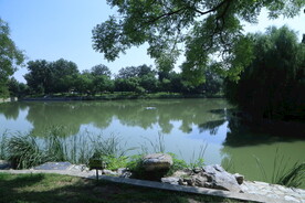 公园风景