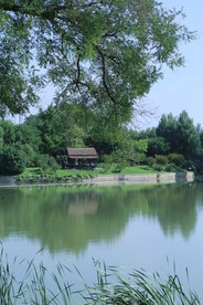 公园风景 