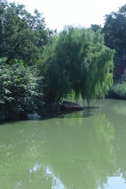 公园风景 