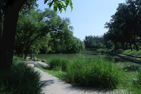 公园风景