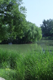 公园风景 