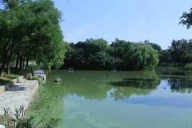 公园风景 