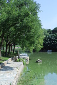 公园风景
