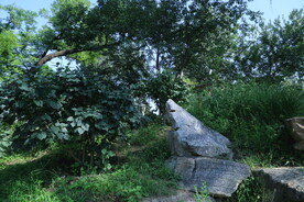 龙潭中湖风景