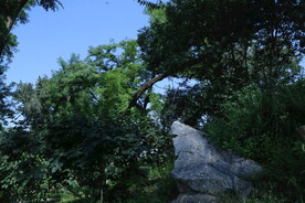 公园风景 