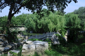 公园风景