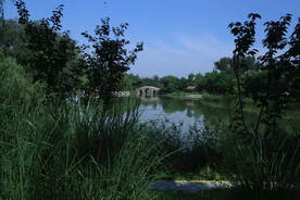 公园风景