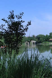公园风景 