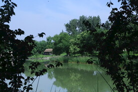 公园风景