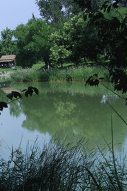 公园风景