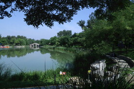 公园风景 