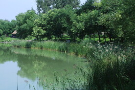 公园风景 