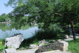 公园风景