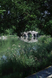 公园风景 