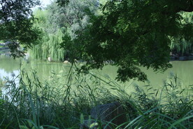 公园风景 
