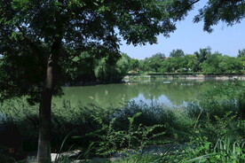 公园风景