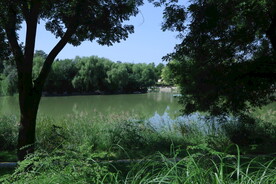 公园风景