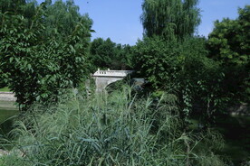 龙潭中湖风景