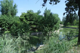 公园风景 