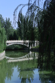 公园风景