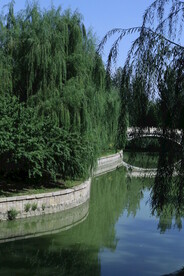 公园风景 