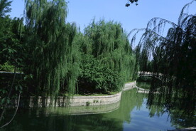 公园风景