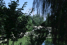 公园风景 