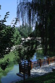公园风景 