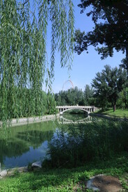 公园风景 