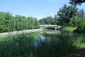 公园风景