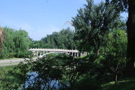 公园风景