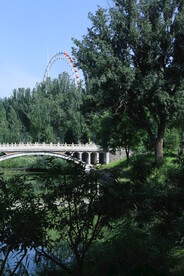 公园风景