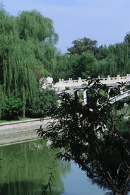 公园风景 