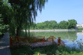 公园风景 