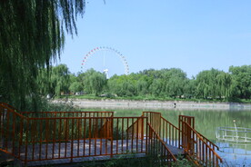 公园风景 