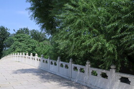 公园风景 